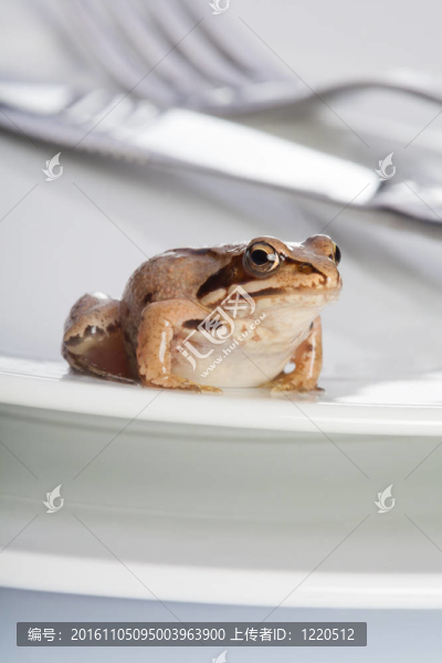 而不是一頓晚餐