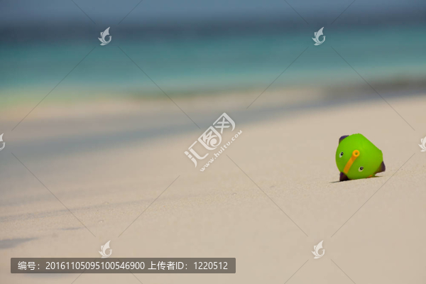 死魚的概念