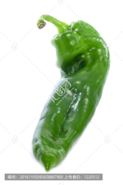 青椒
