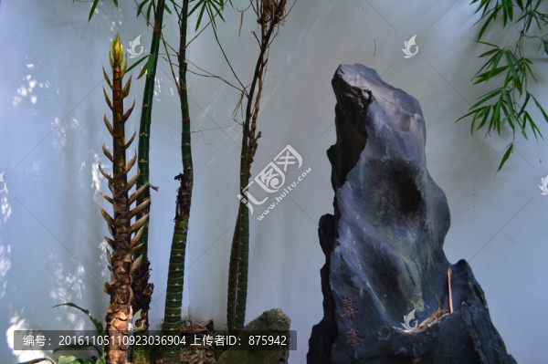 竹