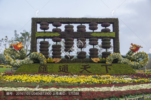 菊花展造型