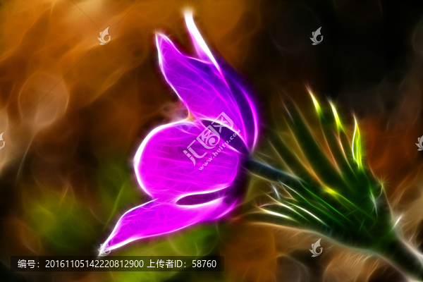 電腦畫(huà),花之韻