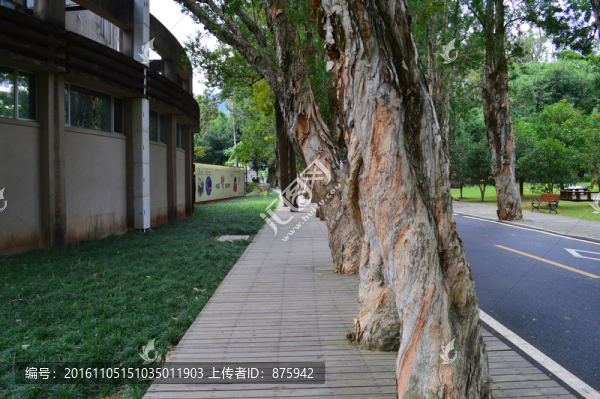 福州森林公園