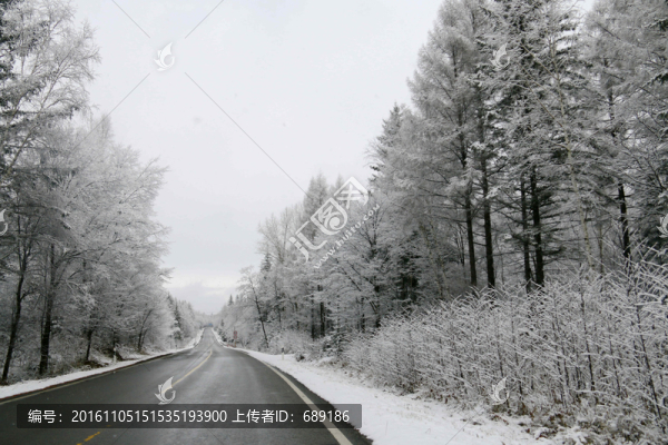 林海雪原