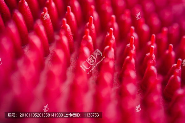 紅色抽象