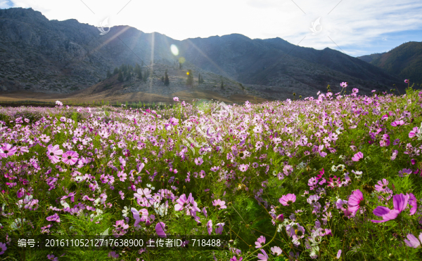 格?；? title=