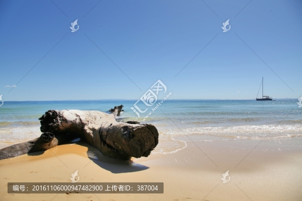 度假酒店海灘