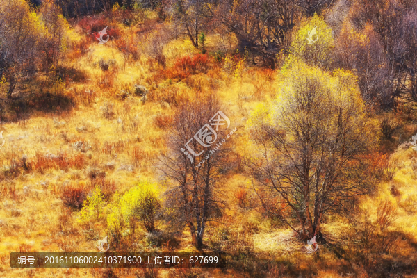 格聶神山風(fēng)光