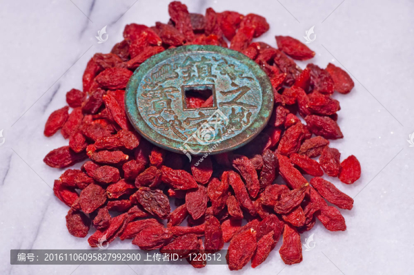 枸杞；Lycium,barbarum
