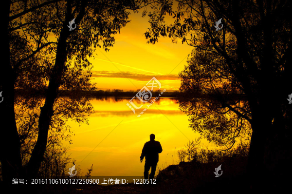 在夕陽的剪影