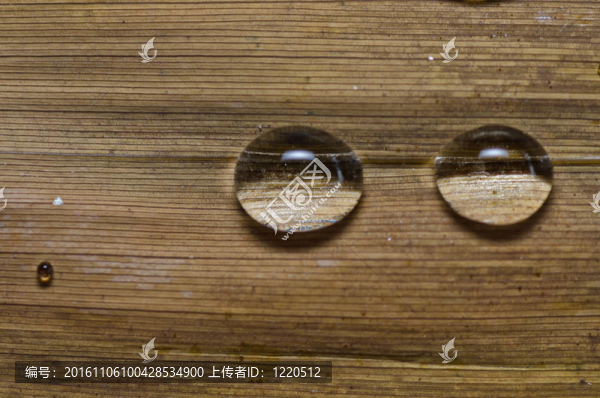 新鮮水滴在綠色自然