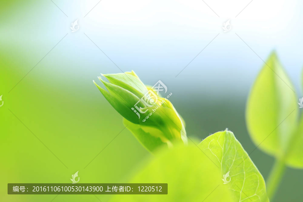 彈簧廠