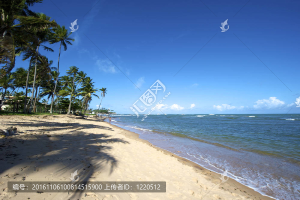 普臘亞復(fù)地；Bahia；巴西