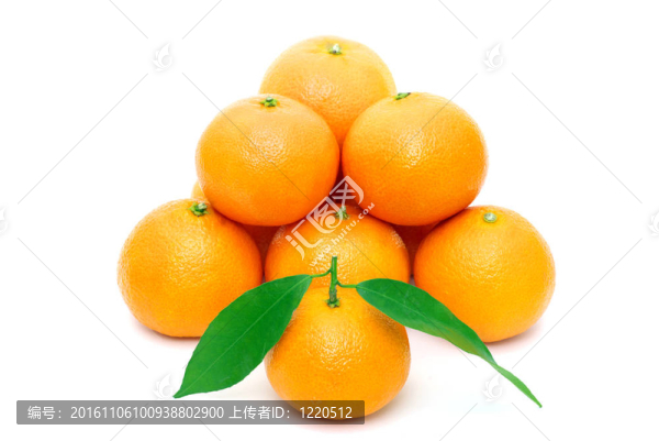 Tangerine夜店