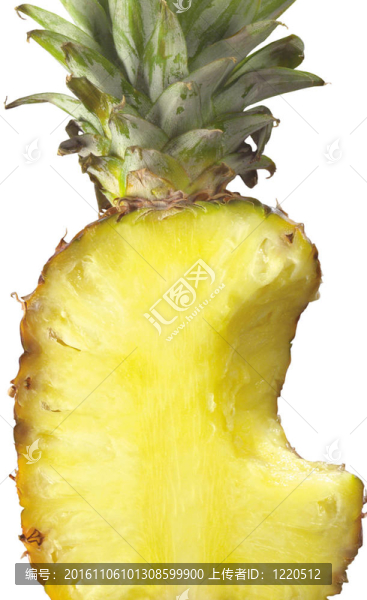 菠蘿