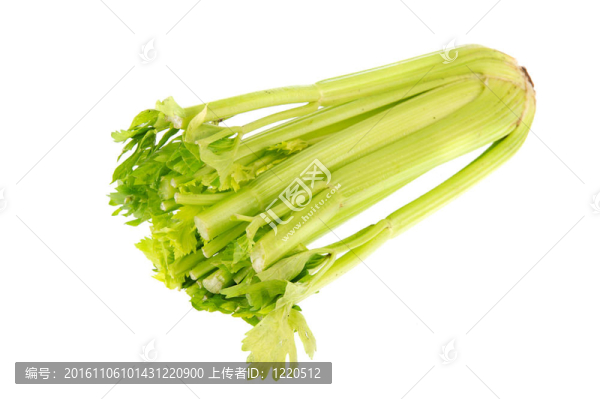 新鮮芹菜