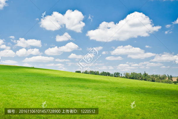 農(nóng)業(yè)景觀
