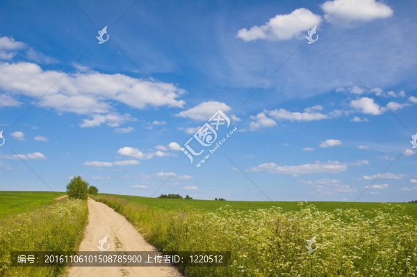 美麗的夏日風(fēng)景