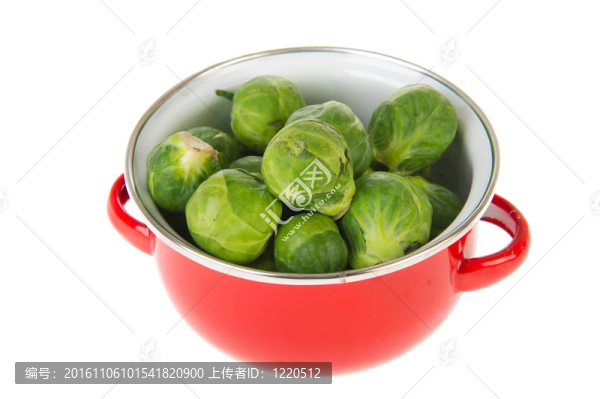 布魯塞爾豆芽