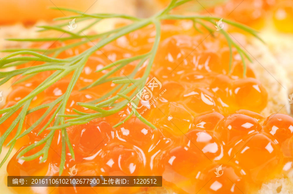 紅coviar