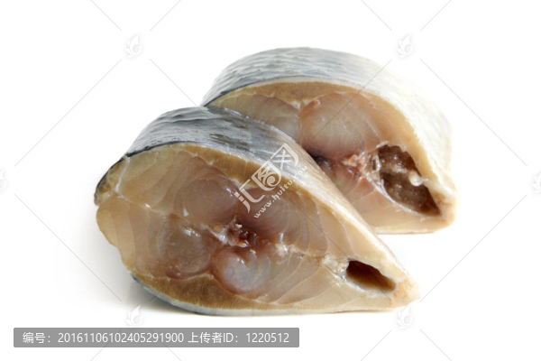 塊鯡魚