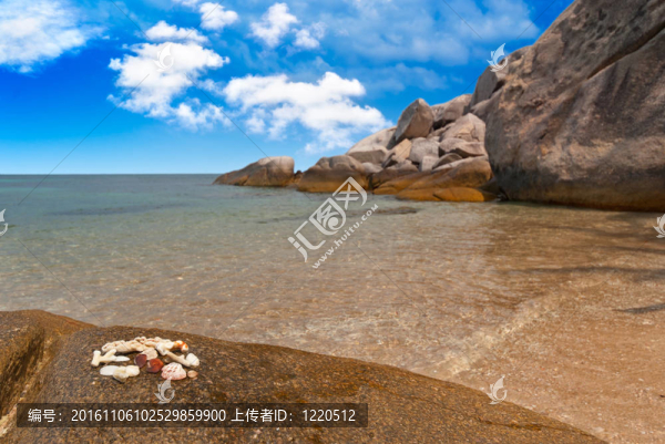 在異國(guó)海灘的貝殼