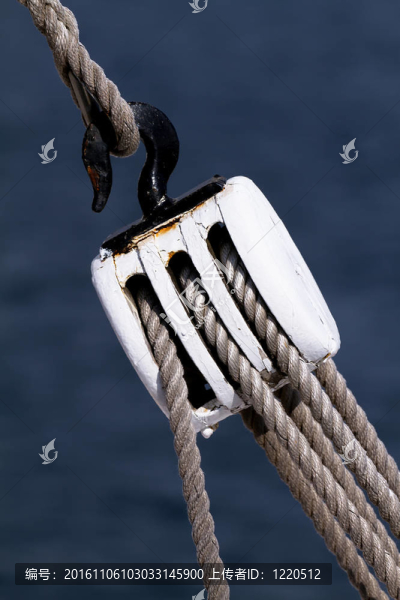 釣魚(yú)輪