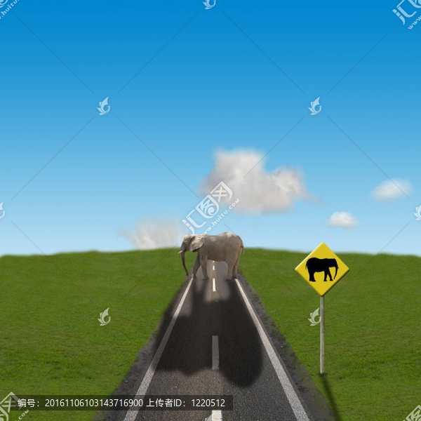 道路上的重型運輸。