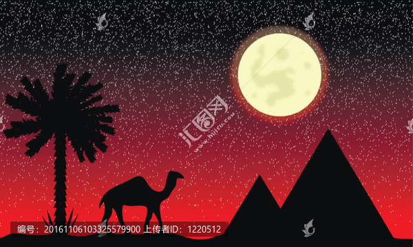 埃及的夜