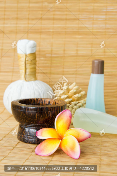 熱帶溫泉Frangipani,flower
