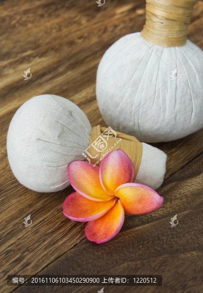 熱帶溫泉Frangipani,flower