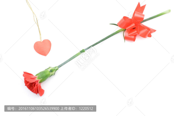 康乃馨絲帶