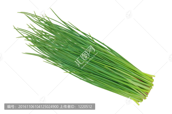 蔥韭菜白色隔離