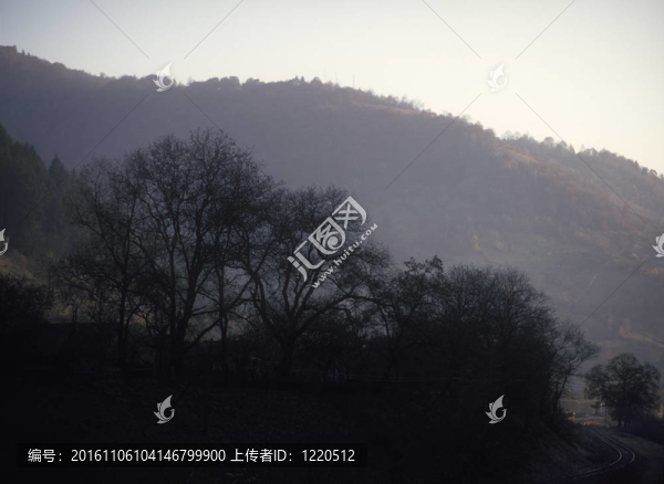 山地景觀。