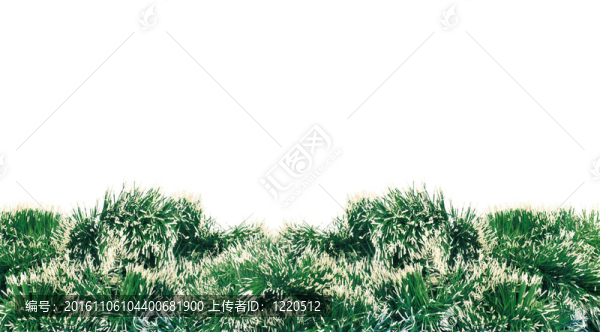 綠色新年樹(shù)裝修白色背景