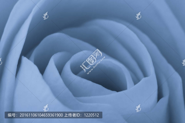 藍(lán)玫瑰的宏