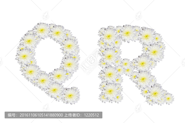 字母QR；White,Flower孤立在白色背景