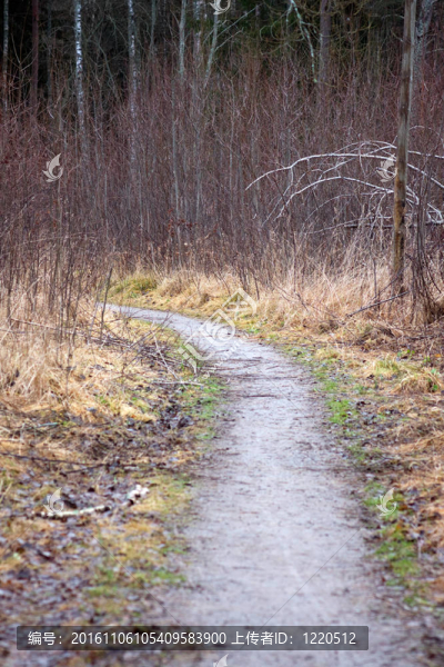 在秋天的路徑-匯圖網(wǎng) www.fosd68.com 在秋天的路徑