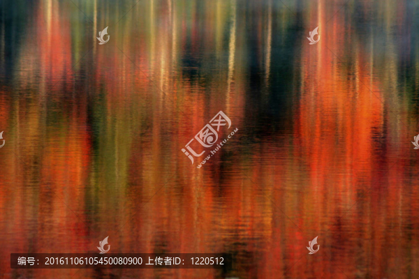 秋天的抽象思考
