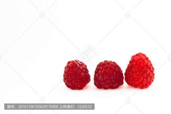 覆盆子