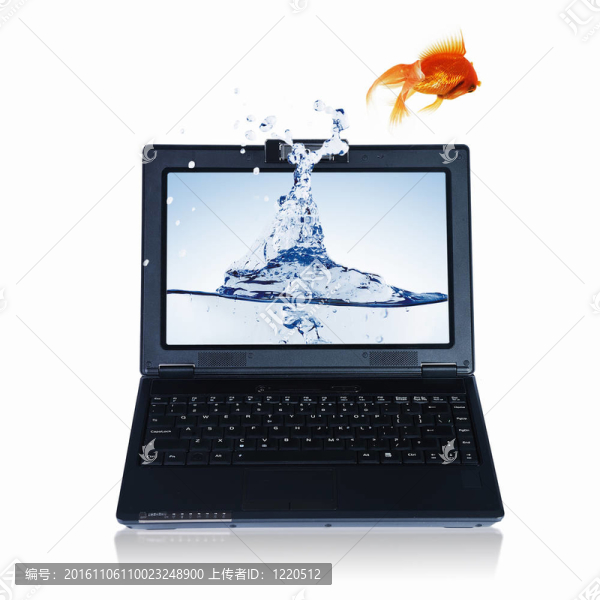 筆記本屏幕上的金魚