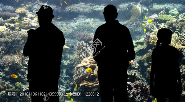 水族館