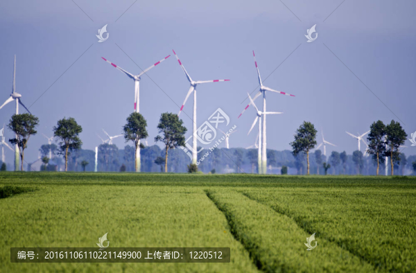 環(huán)境農(nóng)業(yè)