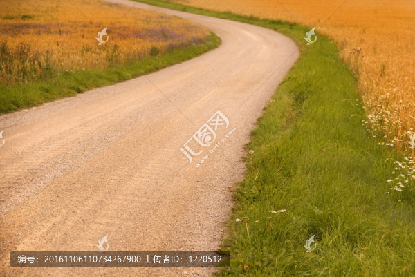麥田里的土路