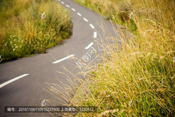 現(xiàn)場(chǎng)瀝青自行車(chē)路徑