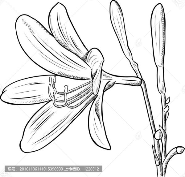 花