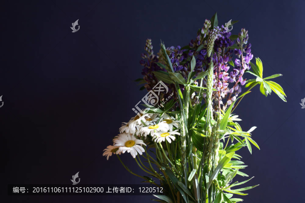 夏天的鮮花