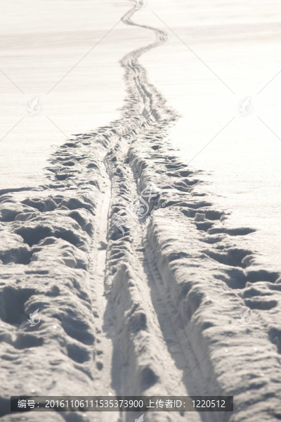越野滑雪道