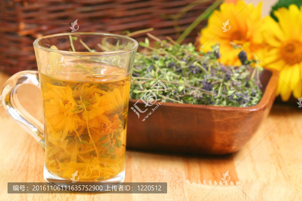 草本植物