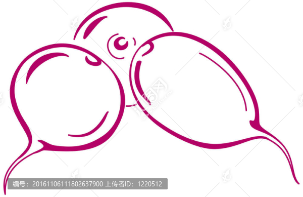蘿卜紅；象形文字